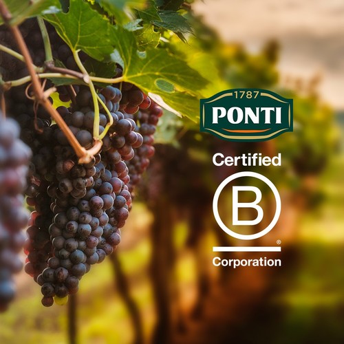 Ponti Balsamic Vinegar Of Modena 12 Months Matured thumbnail 4