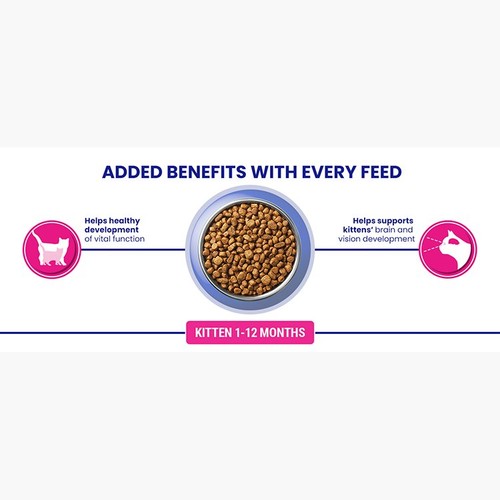 PURINA ONE Kitten Chicken Dry Cat Food thumbnail 6
