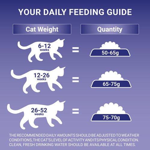 PURINA ONE Kitten Chicken Dry Cat Food thumbnail 8