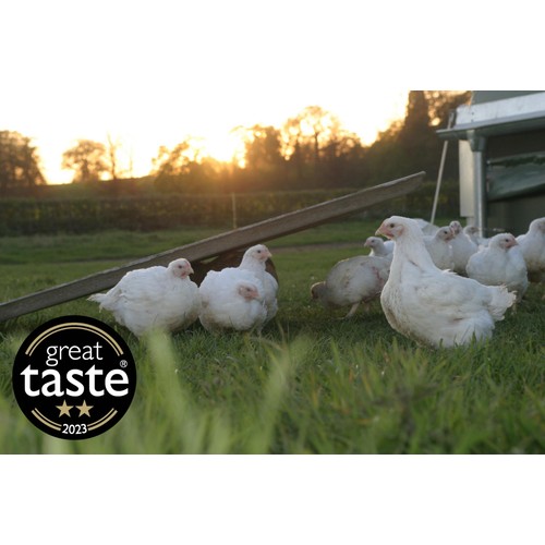 Packington Free Range Skin On Chicken Breasts thumbnail 5