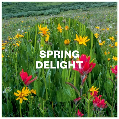 Airwick Pure Air Freshener Spring Delight thumbnail 2