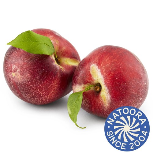 Natoora French White Nectarine