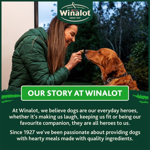 Winalot Shapes Dog Biscuits  thumbnail 8