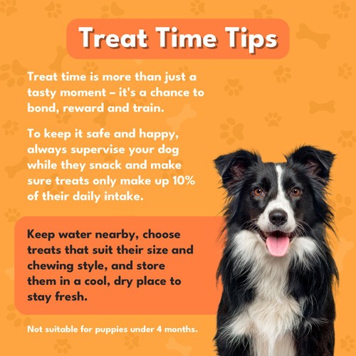 Pet Munchies Duck Dog Training Dog Treats thumbnail 4