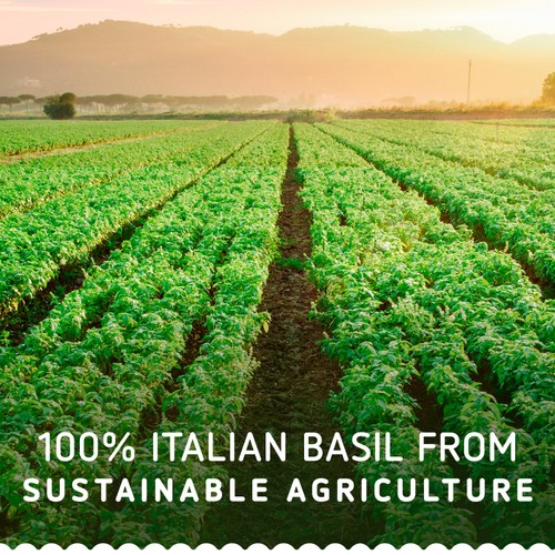 Barilla Pesto Genovese Pasta Sauce thumbnail 4