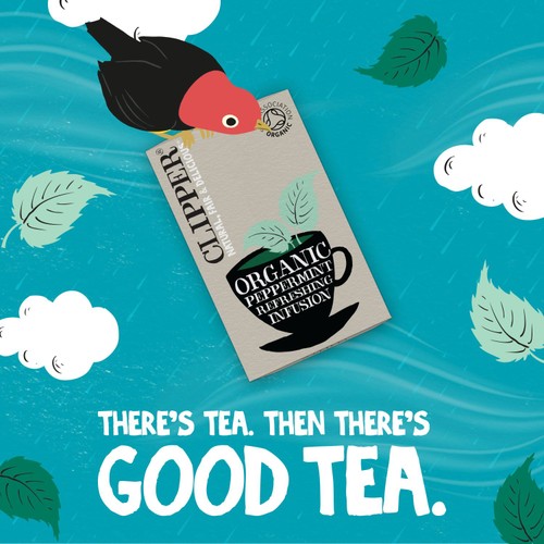 Clipper Organic Peppermint Tea Bags Infusion thumbnail 2