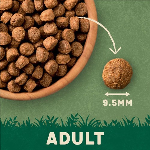 Harrington's Rich In Salmon & Potato Dry Dog Food thumbnail 3