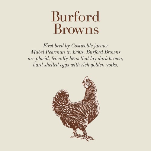 Clarence Court Burford Brown 10  Mixed Size Free Range Eggs thumbnail 2