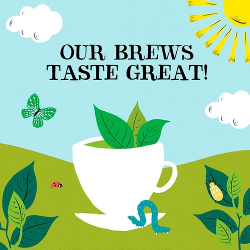 Clipper Organic Fairtrade Green Tea Bags thumbnail 9