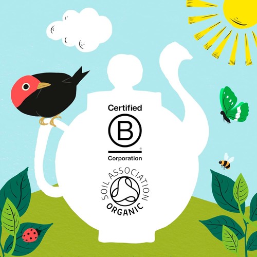 Clipper Organic Fairtrade Green Tea Bags thumbnail 10