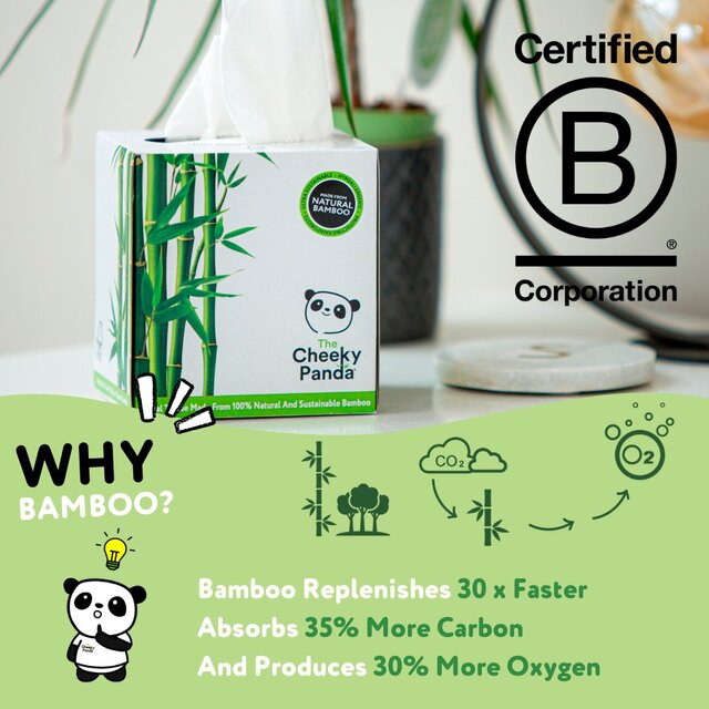 Cheeky Panda Natural Bamboo Facial Tissue thumbnail 5