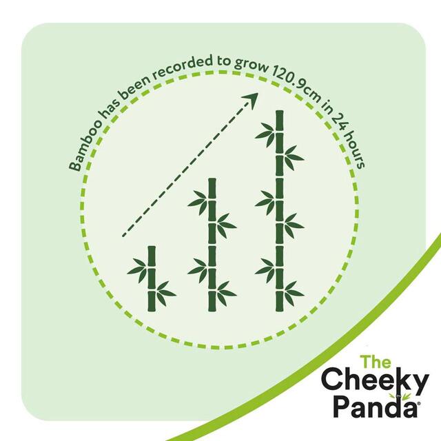 Cheeky Panda Natural Bamboo Facial Tissue thumbnail 6