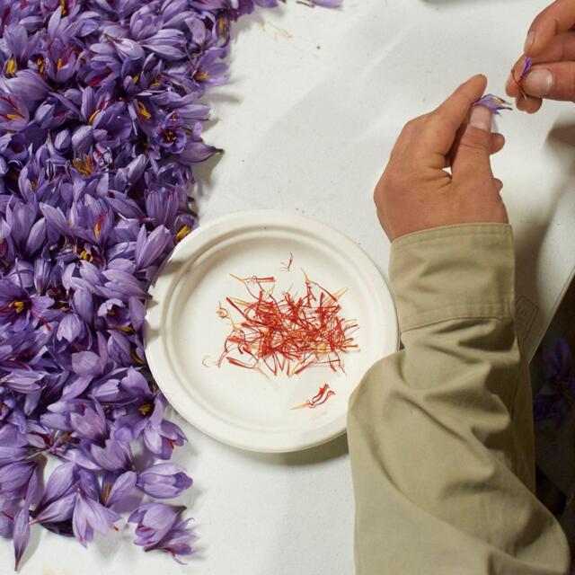 Belazu Category 1 Spanish Saffron thumbnail 2