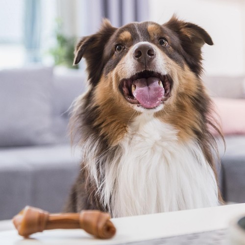 SmartBones 2 Medium Sweet Potato Rawhide Free Bone Dog Treats thumbnail 6