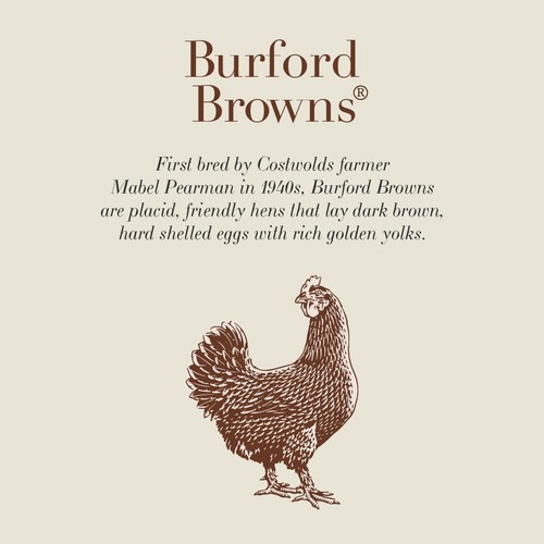 Clarence Court  Burford Brown 6 Large Free Range Eggs thumbnail 2