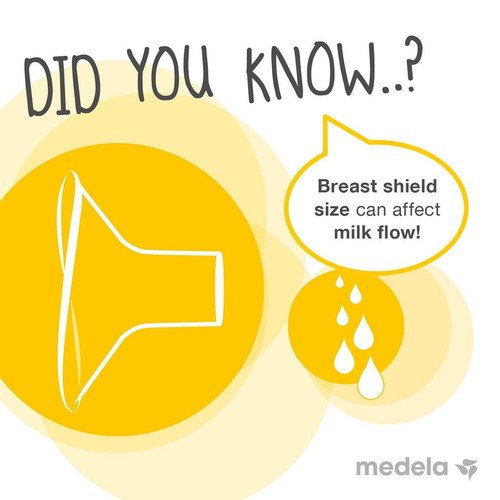 Medela Large Contact Nipple Shield with Case  thumbnail 4