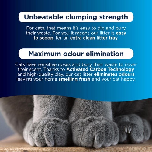 Ever Clean Fast Acting Odour Control Clumping Cat Litter thumbnail 3