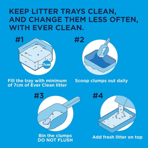 Ever Clean Fast Acting Odour Control Clumping Cat Litter thumbnail 5