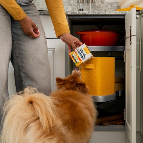 Pooch & Mutt Chicken with Pumpkin & Pea Wet Dog Food thumbnail 7
