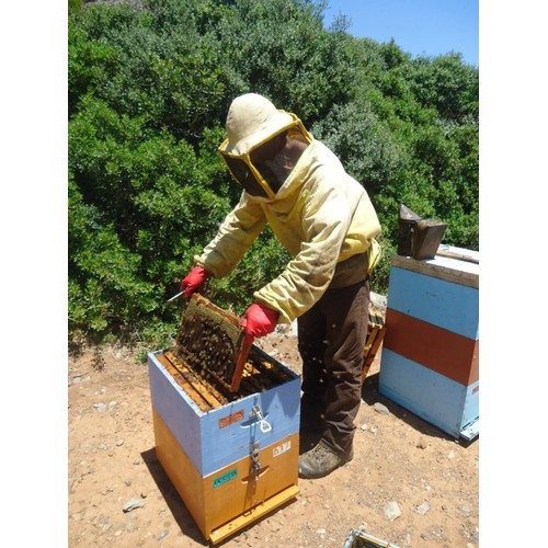 The Greek Kitchen Orange Blossom Greek Honey thumbnail 2