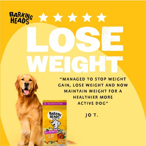 Barking Heads Fat Dog Slim Wet Dog Food Pouch thumbnail 7