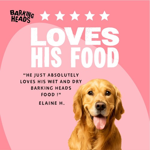 Barking Heads Beef Waggington Wet Dog Food Pouch thumbnail 7
