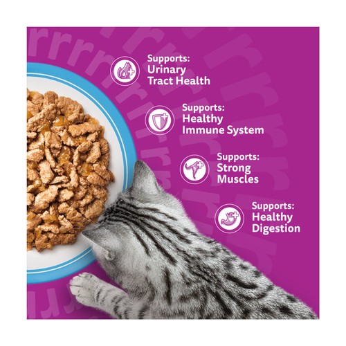 Whiskas 7+ Senior Wet Cat Food Fish Favourites in Jelly thumbnail 4