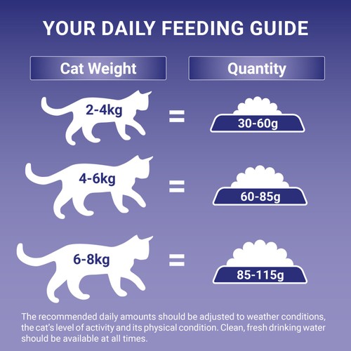 Purina One Salmon Dry Cat Food  thumbnail 7