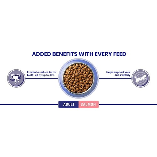 Purina One Salmon Dry Cat Food  thumbnail 8