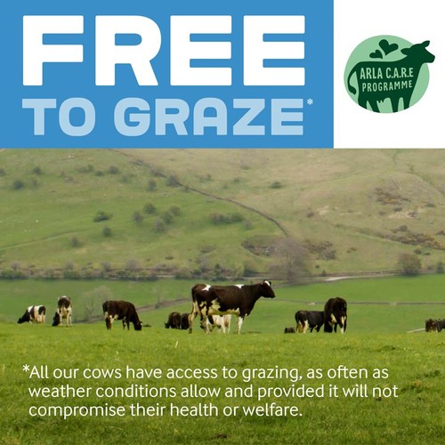 Cravendale Filtered Fresh Whole Milk 1L Fresher for Longer thumbnail 4