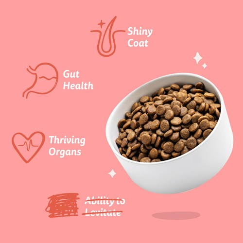 Edgard & Cooper Senior Grain Free Dry Dog Food Free-Run Chicken & Salmon thumbnail 3