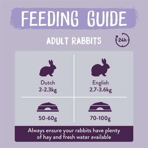 Burgess Excel Indoor Rabbit Nuggets thumbnail 6