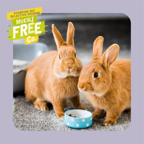 Burgess Excel Indoor Rabbit Nuggets thumbnail 7