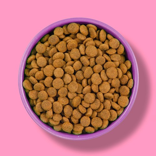 Wagg Wheat Free Dog Chicken & Rice thumbnail 4