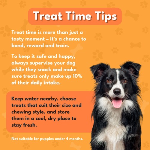 Pet Munchies Small Buffalo Dental Chew Dog Treats thumbnail 4