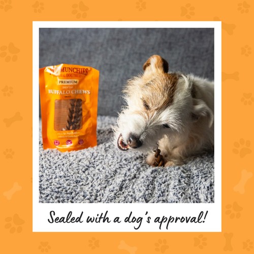 Pet Munchies Small Buffalo Dental Chew Dog Treats thumbnail 7