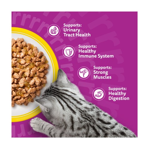 Whiskas 11+ Senior Wet Cat Food Poultry Feasts in Jelly thumbnail 3