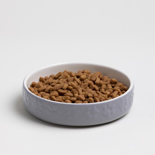 Mason Cash Colour Mix Grey Cat Saucer 13cm thumbnail 4