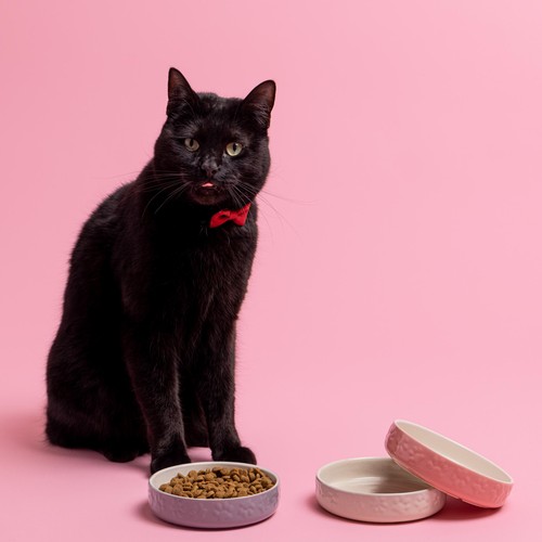 Mason Cash Colour Mix Pink Cat Saucer 13cm thumbnail 3