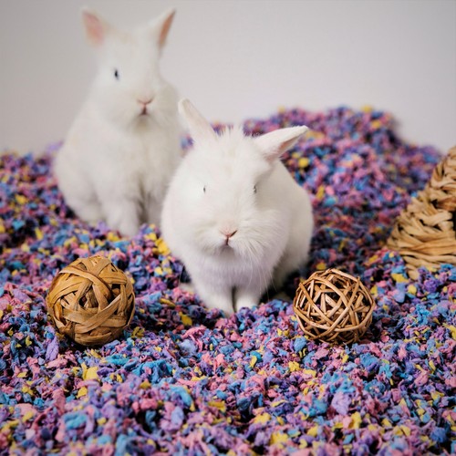 Carefresh Colours Confetti Small Pet Bedding thumbnail 4