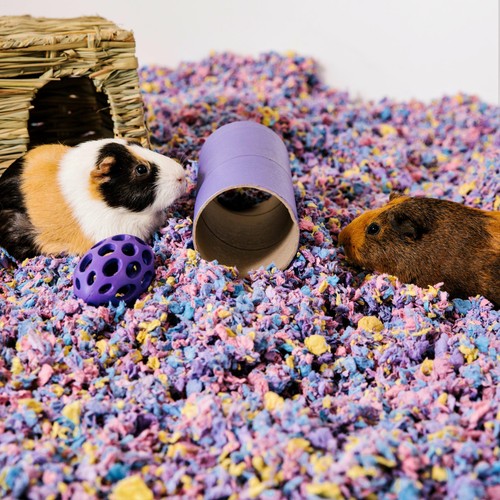 Carefresh Colours Confetti Small Pet Bedding thumbnail 5
