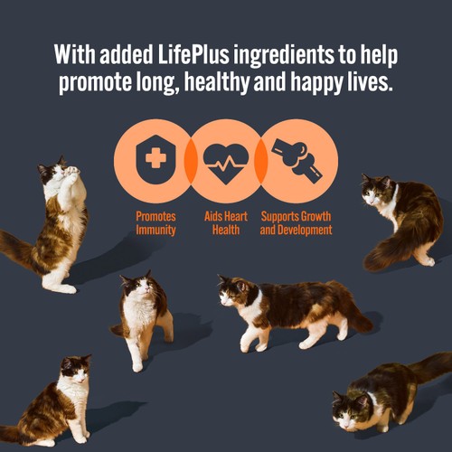 HiLife It's Only Natural Kitten Food - Tender Chicken thumbnail 6