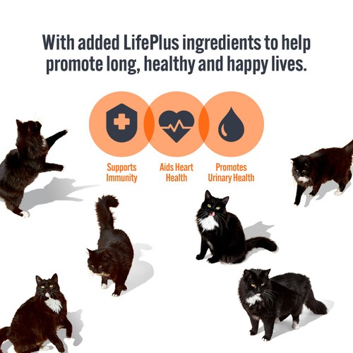 HiLife It's Only Natural Luxury Cat Food - Chicken Breast in Sauce thumbnail 5