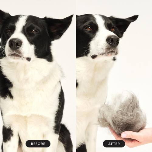 Pet Teezer De-shedding Dog Grooming Brush - Blue / Pink thumbnail 5