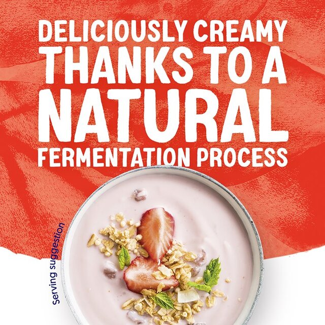 Alpro Mixed Fruit Dairy Free Soya Yoghurt Alternative thumbnail 10