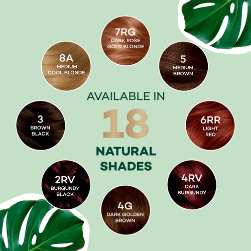 Clairol Natural Instincts Hair Dye 6A Light Ash Brown thumbnail 2