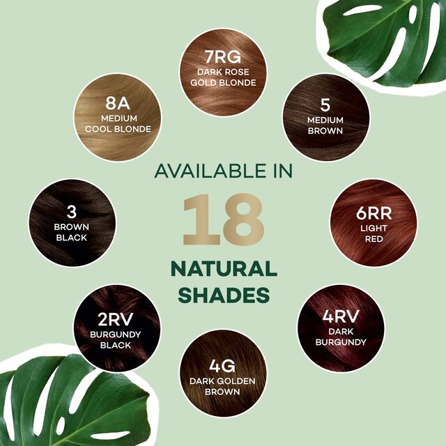 Clairol Natural Instincts Hair Dye 6A Light Ash Brown thumbnail 8