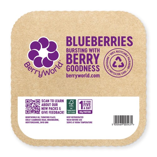 BerryWorld Blueberries thumbnail 2