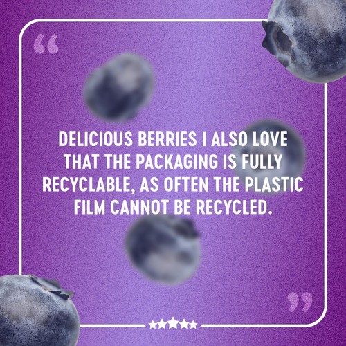 BerryWorld Blueberries thumbnail 6