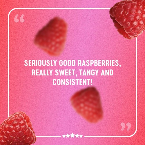 BerryWorld Organic Raspberries thumbnail 5